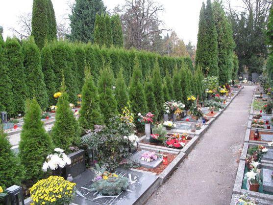 Policisté v Broumově překvalifikovali krádež bronzových váz na hřbitově z přestupku na trestný čin