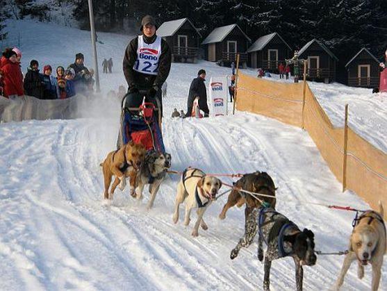 Nabídka akcí na Broumovsku pro víkend 20. - 22. ledna