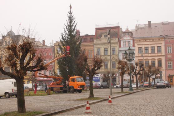 Vánoční stromy ve městech a obcích jsou připraveny na rozsvícení
