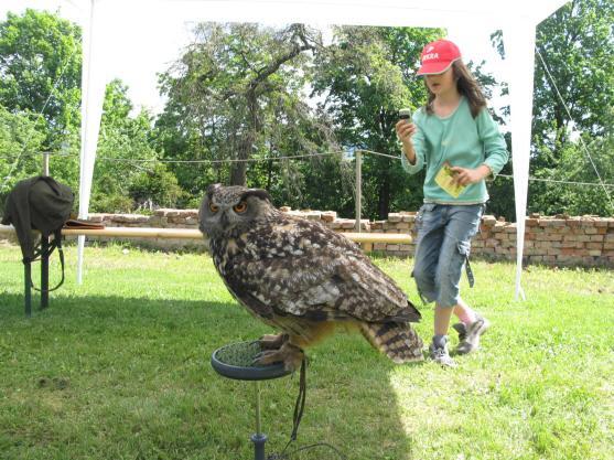 V sobotu 17. září v klášterní Zahradě* v Broumově - Podzimní dětský den s lesy ČR
