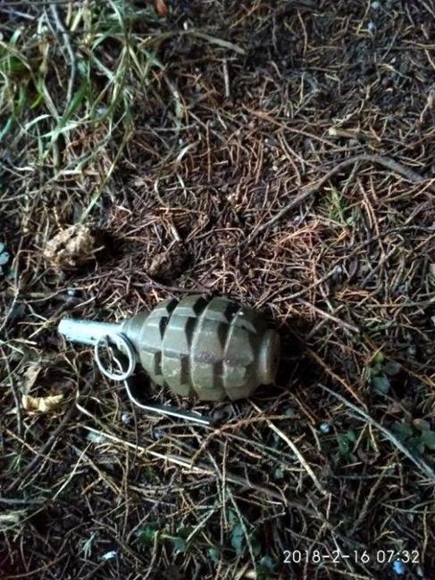 U chodníku v trávě se povaloval ruční granát