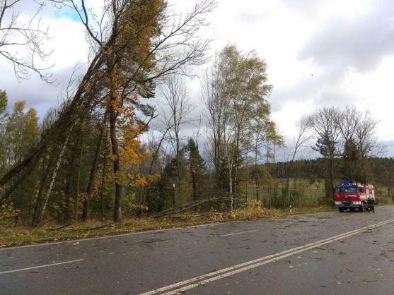 Hasiči na Broumovsku kvůli větru řešili desítky případů