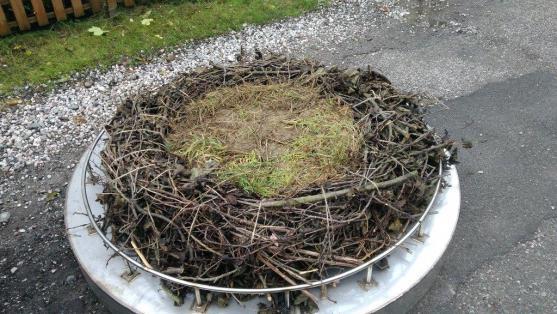 Na čápy v Polici nad Metují čeká nové hnízdo