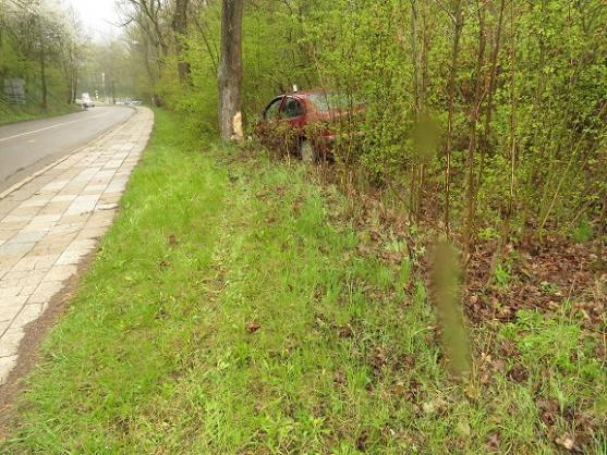 Cizincův vůz skončil ve stromě. Opuštěný a bez poznávacích značek