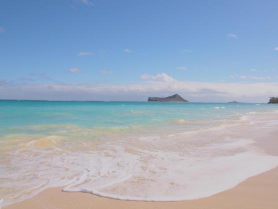 V Polici nad Metují se chystá dvoudenní projekt Havaj v Sokolovně