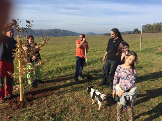 Stromodění vysázelo 50 stromů