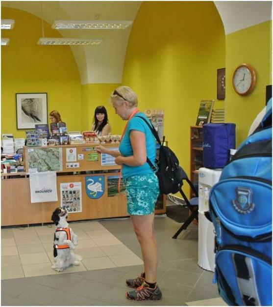 Lidé na dovolené podporují broumovský útulek