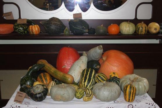 Na Dýňových slavnostech v Centru Walzel předvedly kuchařky svoji nekonečnou fantazii