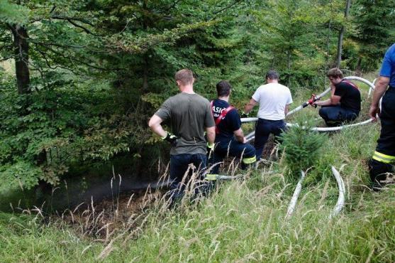 Hasiči likvidovali požár stromků v oblasti Ruprechtického Špičáku, ale i popadané stromy