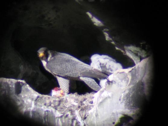 Nabídka akcí na Broumovsku pro víkend od 24. do 26. dubna