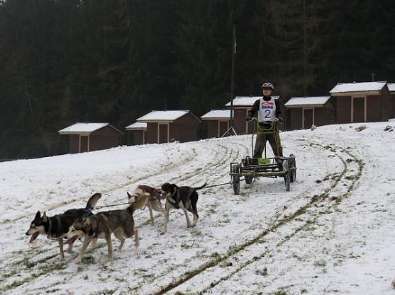 Místo na saních se na Janovičkách jezdilo na kárách