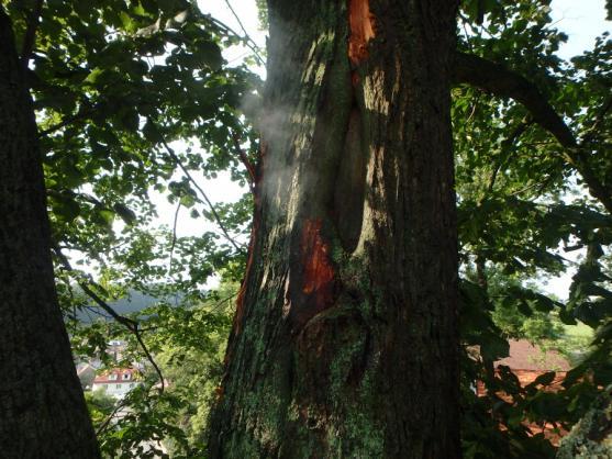 Následky silného lokálního deště na Policku