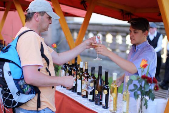 Ochutnávka špičkových vín z Moravy a Čech Vinum et Cetera je za námi
