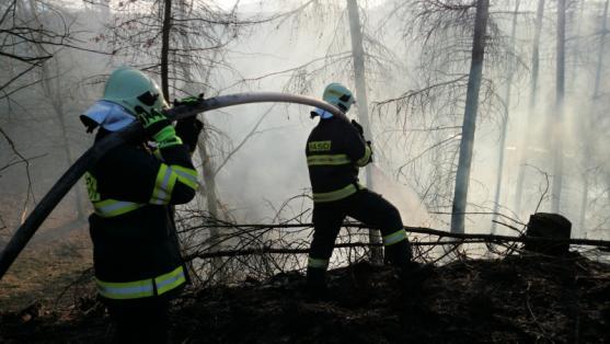Hasiči na Broumovsku dvakrát vyjížděli k požárům trávy a lesního porostu