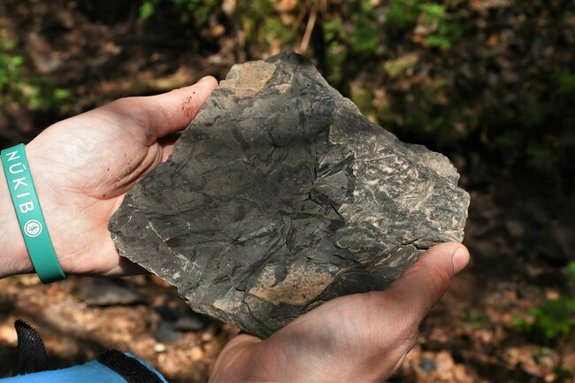 Každou druhou sobotu v měsíci na výpravu za poznáním s geologem