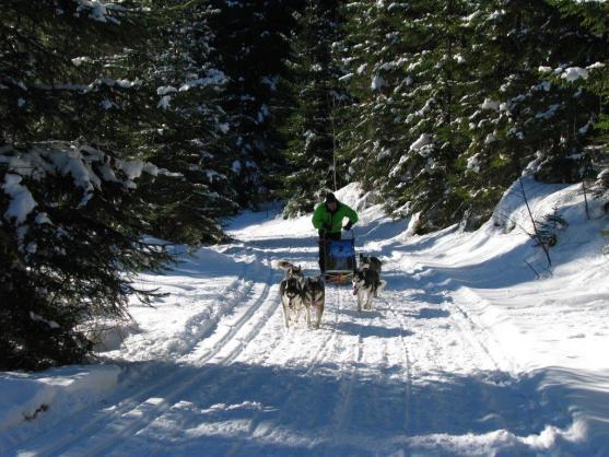 Změna místa závodům psích spřežení neuškodila. Naopak!