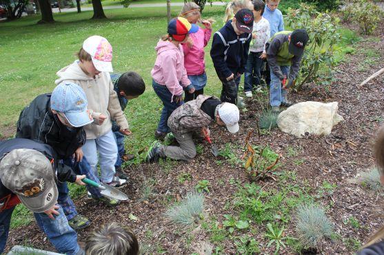 Den s arboristy v Naší zahradě