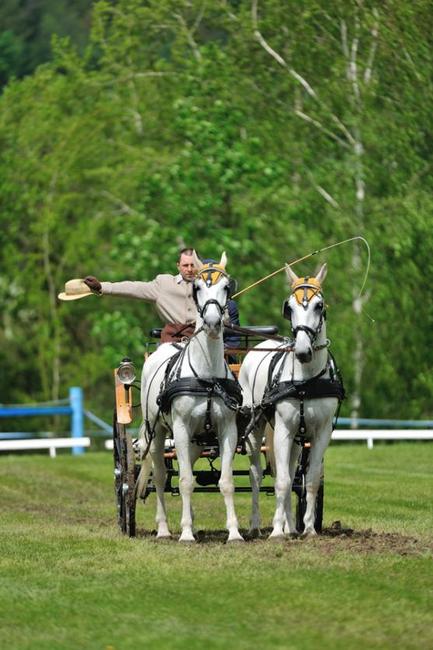 Jiří Nesvačil se stal vítězem v kategorii dvojspřeží při mezinárodních závodech koňských spřežení v Polici nad Metují