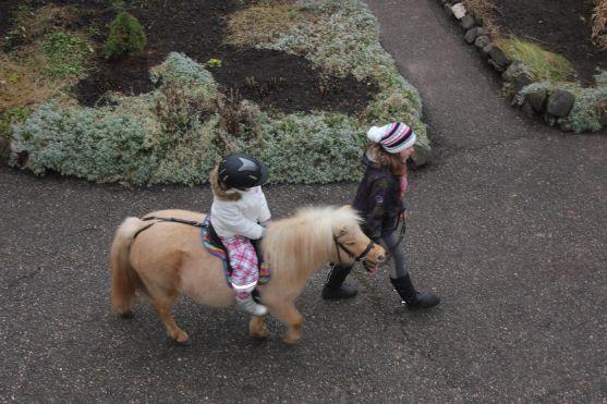 Za vysvědčení Den na koni