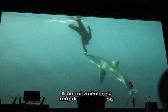 Spot Navštivte Broumovsko dostal Cenu poroty na festivalu Tour region film v Karlových Varech 