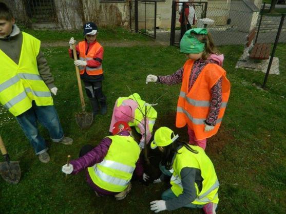 Děti z jetřichovské školy se připojily k jarnímu úklidu Broumovska