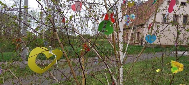 V Hejtmánkovicích vítají jaro srdíčkovníkem