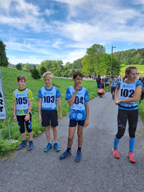 Broumovky jsou srdcovka