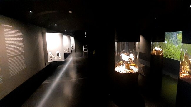 Až po uši v Krkonoších