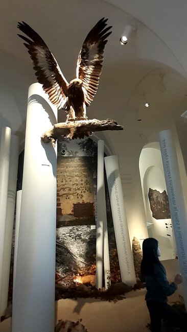 Až po uši v Krkonoších