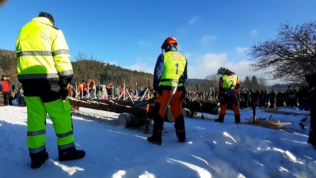 Obrazem: Dřevorubec roku je s úspěchem zpět