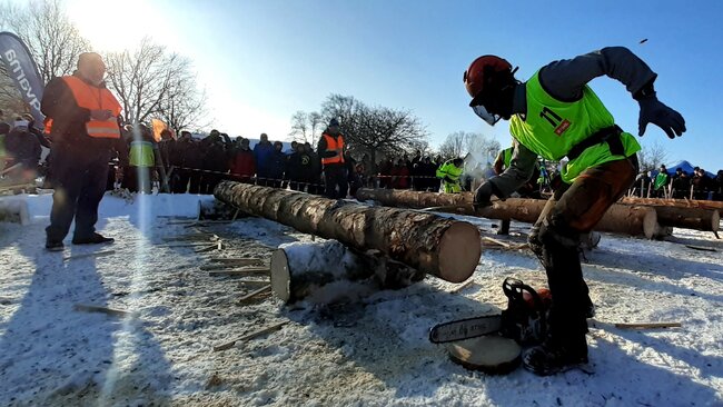 Obrazem: Dřevorubec roku je s úspěchem zpět