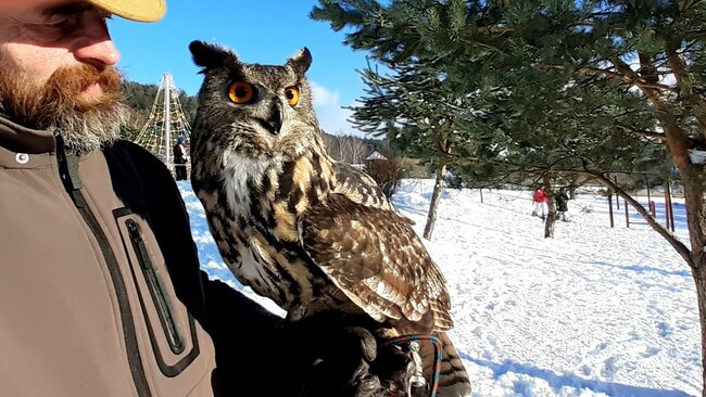 Obrazem: Dřevorubec roku je s úspěchem zpět