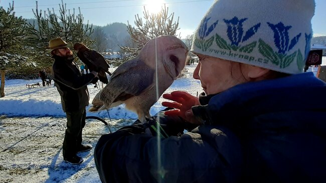 Obrazem: Dřevorubec roku je s úspěchem zpět