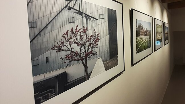 Výlet s kavárenskými povaleči