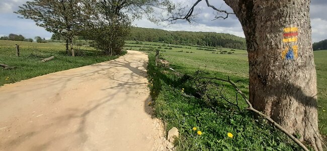 Z Adršpachu na Libnou je část nové cyklostezky