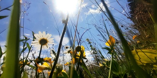 Do skrytého údolí za Stolovými horami