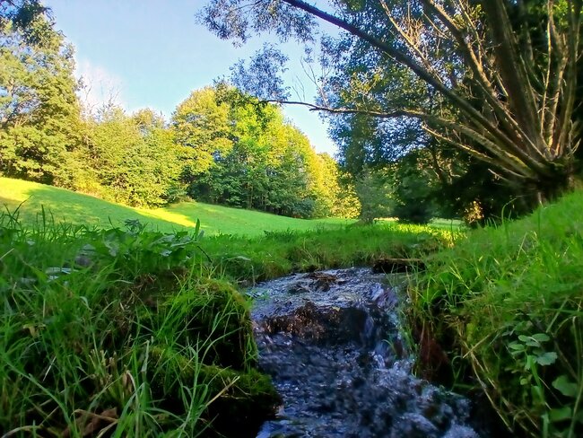 Za nejčistší vodou pod horu Bor