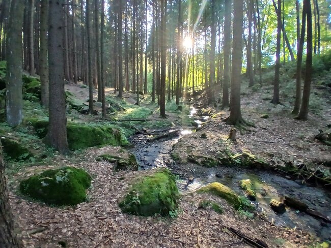 Za nejčistší vodou pod horu Bor