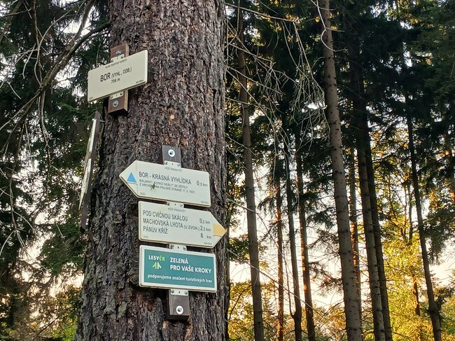 Za nejčistší vodou pod horu Bor