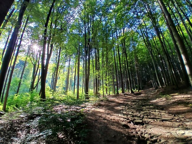 Kamenná zahrádka na Špičáku