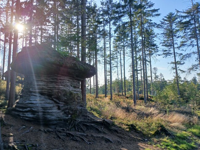 Kamenná zahrádka na Špičáku