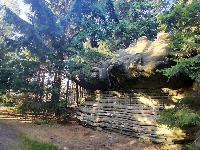 Kamenná zahrádka na Špičáku