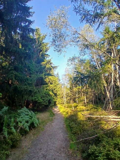 Kamenná zahrádka na Špičáku