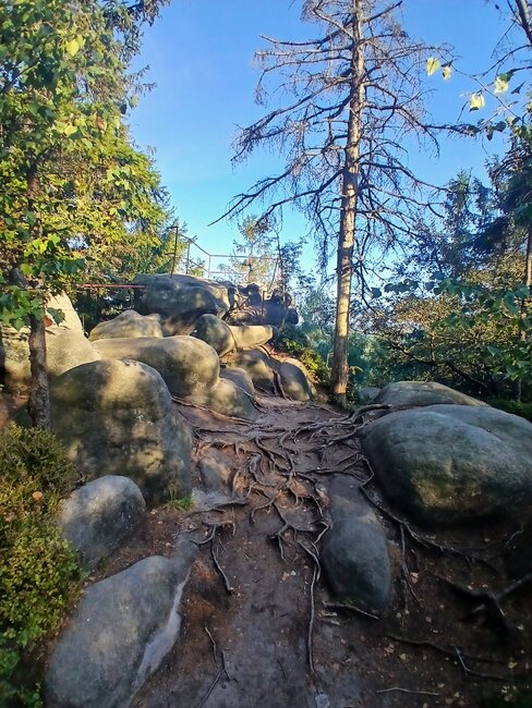 Kamenná zahrádka na Špičáku