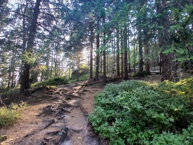 Kamenná zahrádka na Špičáku