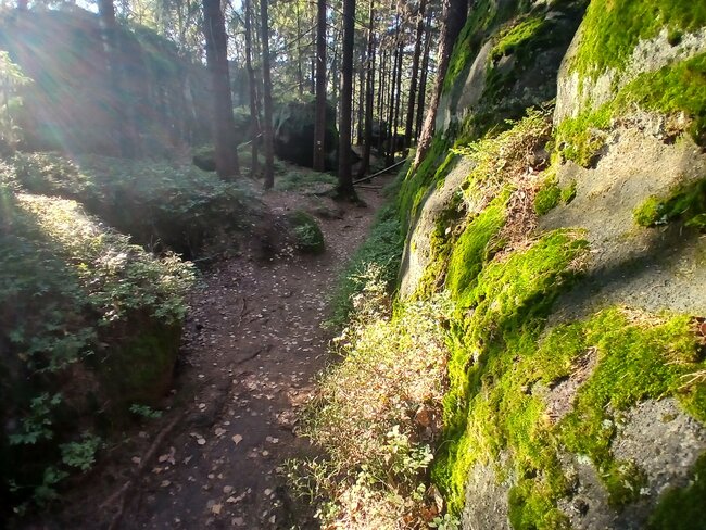 Kamenná zahrádka na Špičáku
