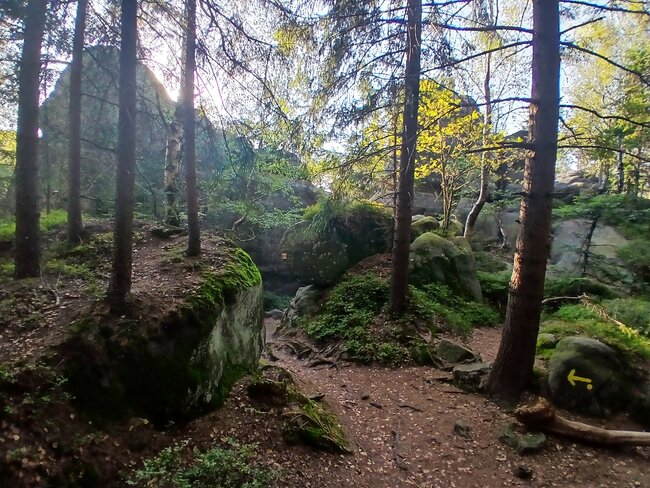 Kamenná zahrádka na Špičáku