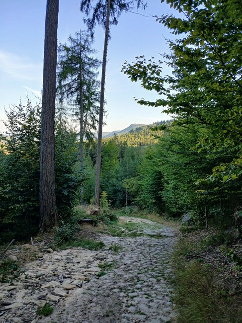 Kamenná zahrádka na Špičáku