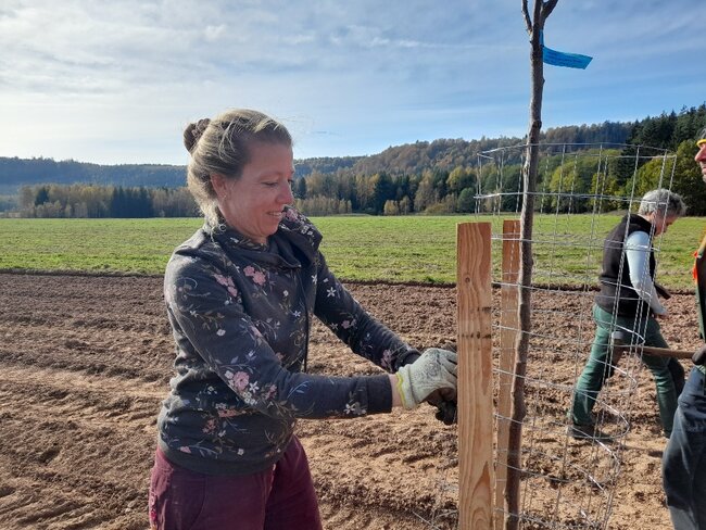 Podzimní sázení ve Vernéřovicích: téměř stovka ovocných stromů