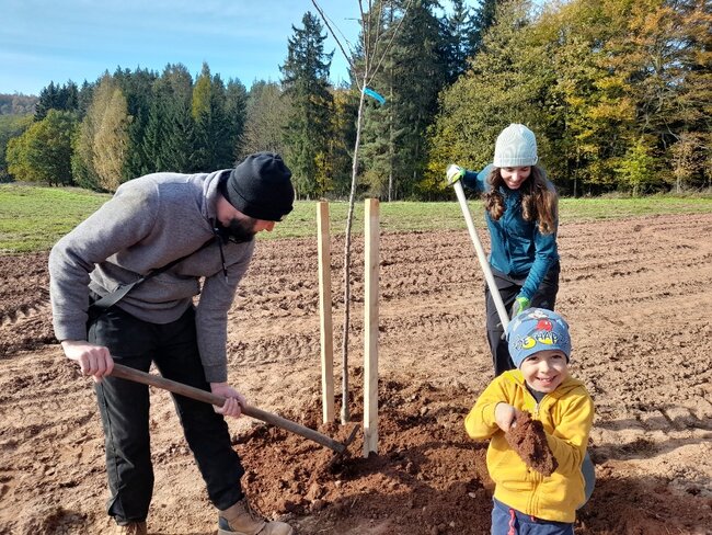 Podzimní sázení ve Vernéřovicích: téměř stovka ovocných stromů